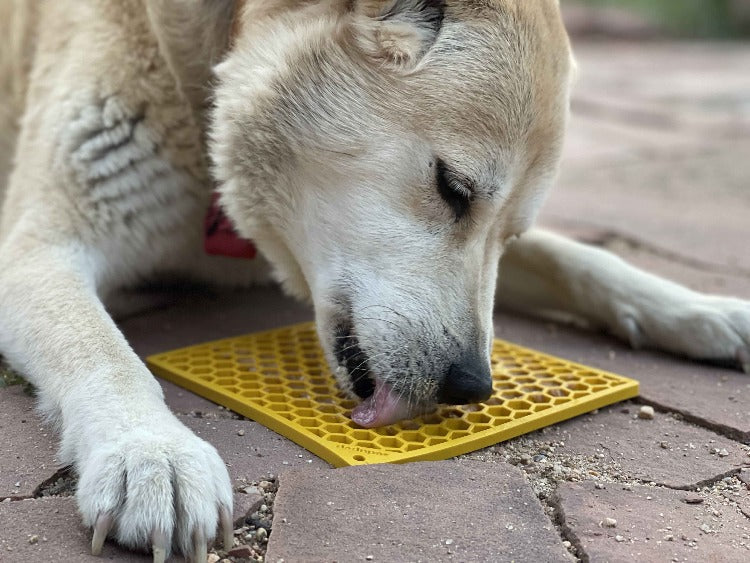 Honeycomb eMat - Enrichment Lick Mat for Dogs and Cats | eMat Enrichment Toy for Anxiety Relief | SodaPup